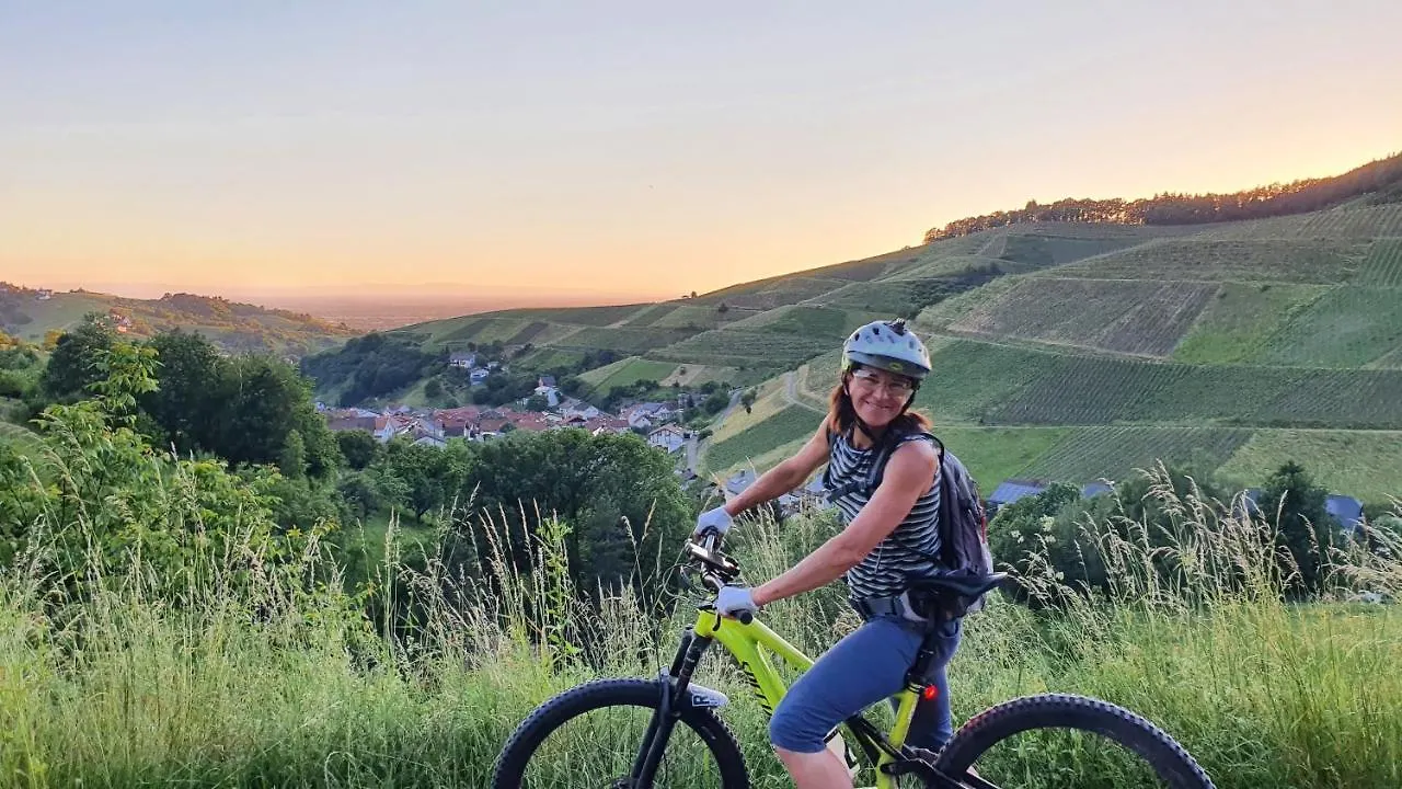 Holiday home Exklusives Holzhaus Mit Bergbahn - Baden-Baden Im Schwarzwald Villa