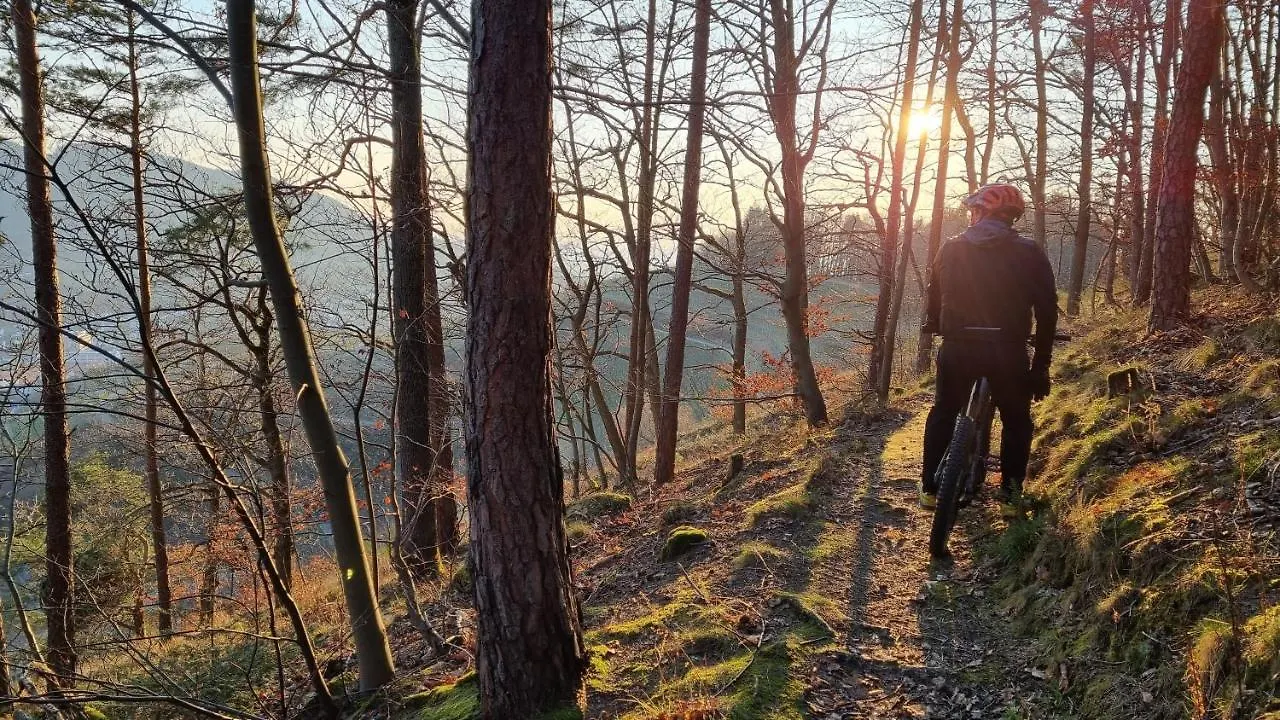 Exklusives Holzhaus Mit Bergbahn - Baden-Baden Im Schwarzwald Villa Holiday home